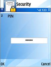 pin.bmp